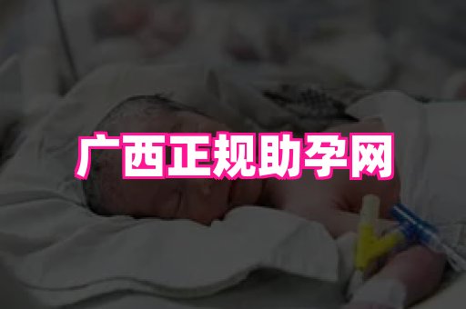 gfg孕网 1