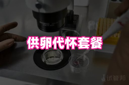 gfg孕网 4